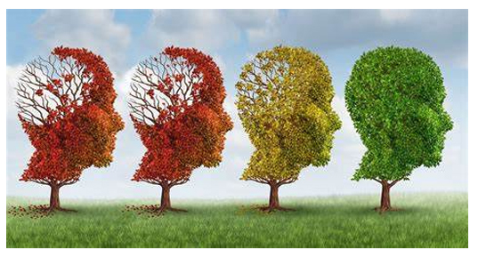 Quelles sont les stades de l'Alzheimer ?