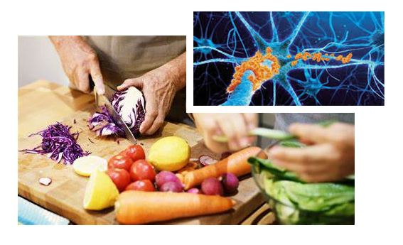 les aliments bons pour la mémoire