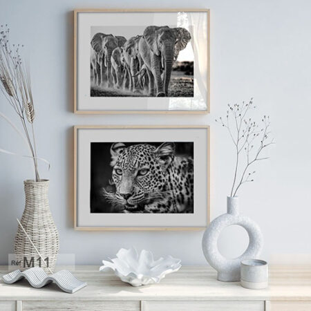 photos monochromes d'animal sauvage en jungle africaine, œuvre murale décorative en noir et blanc classique harmonieux