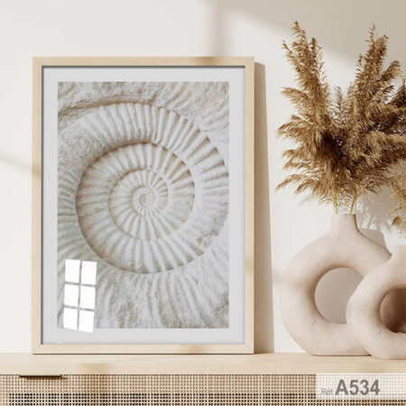 Ammonite Fossile spirale, Tableau Encadrée décoration Design géologie - décoration intérieure, chambre et salle de bain au Maroc depuis casablanca