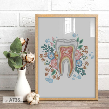Vente Tableau décoration pour cabinet Esthétique Dentaire : Anatomie Dentaire et Fleurs encadré au Maroc