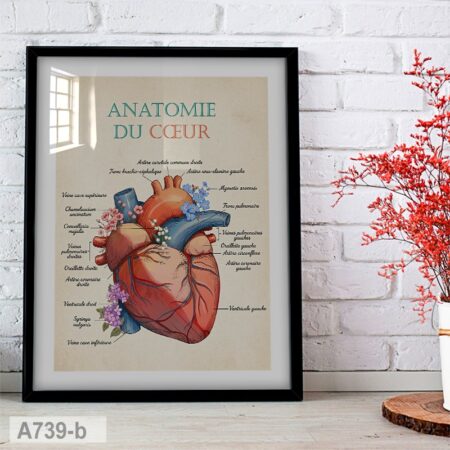 Vente Tableau Anatomie du Cœur Floral - Illustration Médicale Artistique, décoration cabinet & bureau médecin Cardiologue