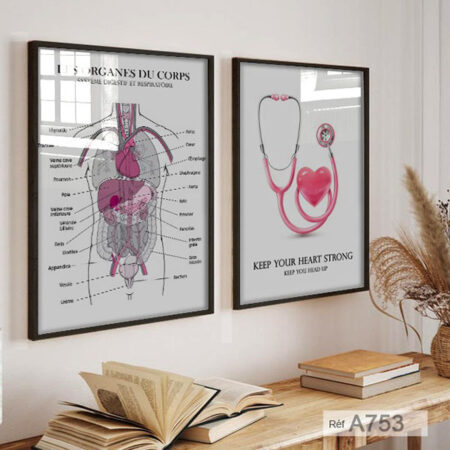 Tableau decoration murale: cabinet & bureau l'anatomie du corps humain & stethoscope medical لوحات عيادة طبيب المغرب