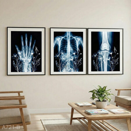 Tableaux Anatomie Florale - Déco Professionnelle Médicale, Affiches Radiologie Artistique ديكور عيادة طبيب
