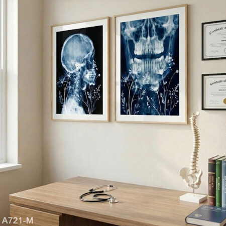 Deux Tableaux décoration médicale artistique, Déco cabinet médecin dentiste - imagerie Crâne & dents, Vente au Maroc avec livraison rapide depuis Casablanca