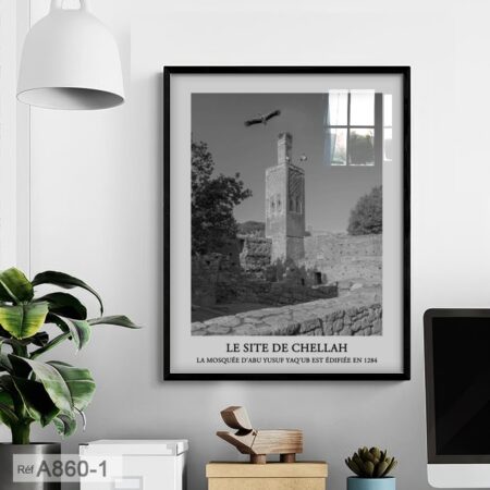 Tableau décoratif de site archéologique Chellah à Rabat, monument historique du Maroc - Noir et blanc