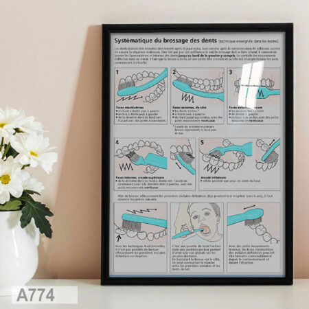 Affiche Pictogrammes :brossage & Prendre soin de dents, Tableau décoratif et éducatif, Ecole et cabinet dentaire بوستر مراحل غسل الأسنان بالفرنسية
