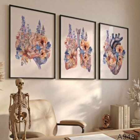 Set 3 tableaux décoratifs anatomie florale cerveau, poumons & cœur en fleurs – wall art mural moderne cabinet médical et salle ou bureau