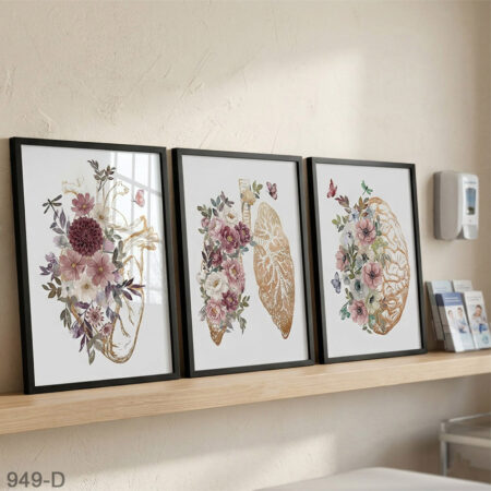 Trois tableaux décoratifs anatomie cerveau, poumons & cœur en fleurs – affiches moderne cabinet médecin & salle de consultation