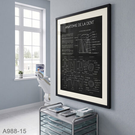 Tableau Décoratif Anatomie de la Dent - illustration Schéma Coupe Dentaire Détaillé avec Cadre Noir Minimaliste au Maroc