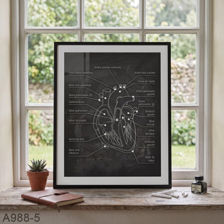 Tableau Décoratif mural : schéma anatomique cœur - Affiche Médicale & Cadre Noir Minimaliste | Déco Maroc